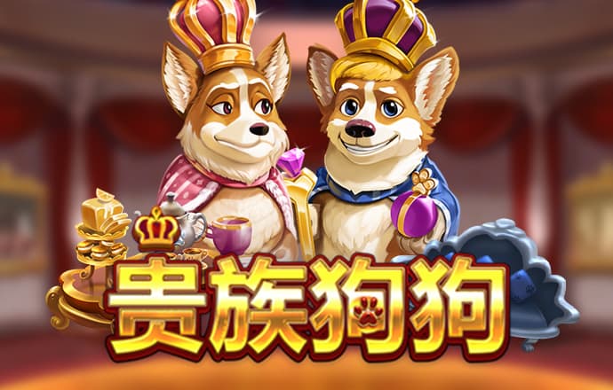 开云平台app